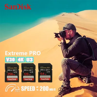 Memory+Cards