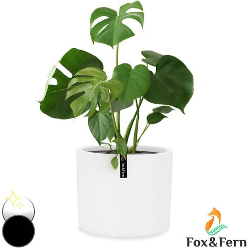 Fox & Fern Blumentopf, Übertopf Groß, uv- und Frostbeständige Blumentöpfe, Blumentopf für Innen und