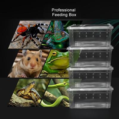 4pcs Reptile Feeding Box - Perfect For Breeding Ge...