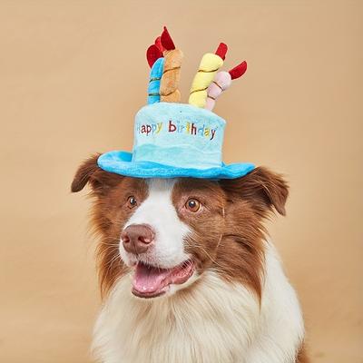 Pet Birthday Hat Adjustable Dog Hat With Colorful ...