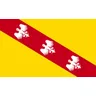Bandiera della regione della francia 90*150cm