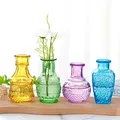 Mini vase en verre en relief vintage vase à fleurs de plantes hydroponiques transparentes