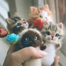 Giocattoli fatti a mano carini e interessanti kit di gatti in feltro di lana fai-da-te bambola di