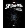 Marvel Spider-Man: von atemberaubend bis spektakulär