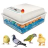 20 eggs incubator for Chicken Goose Bird Quail Automatic Incubation Equipment Hatchery Incubation