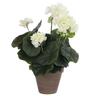 Mica Decorations Geranie Pvc Creme Geranie mit Blumentopf