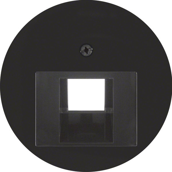 Berker Zentralstück sw/gl 14072045 Image