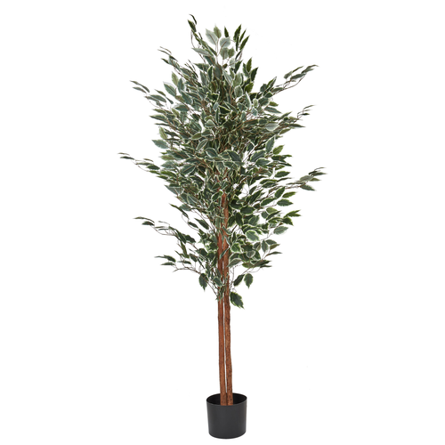 Kunstpflanze Ficus Baum Grün 167 cm im Blumentopf Künstlich Indoor Dekoration Wohnaccessoires