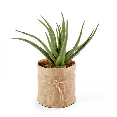 Kunstpflanze mit Topf, Aloe Vera, Höhe: 43 cm, Oà¯ko Grün