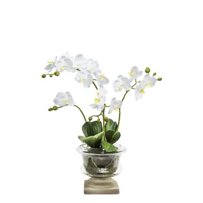 Künstliche Pokalorchidee H106, Weiß