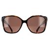 Michael Kors MK2201 Malia 395173 donkere tortoise en crÃ¨me tortoise bruine zonnebril