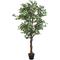 Vidaxl - Albero di Ficus Artificiale 1260 Foglie 200 cm Verde