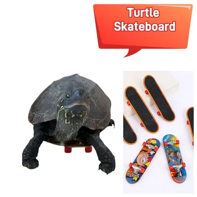 Mini Small Skateboard For Turtles Parrot Turtle Toy Finger Skate Board For Pet