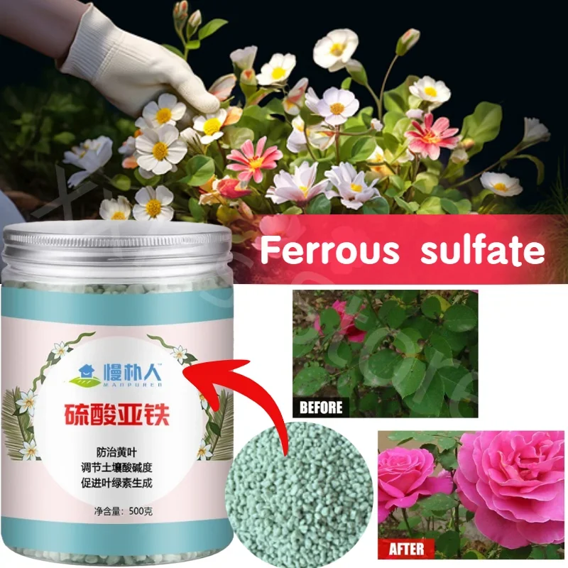 500 g Fehlsülfat-Blumendünger, Bodenverbesserung, Säure, Rose, Rose, Kamelie, grüne Lorbeer, Orchidee, gelber Blattdünger Image