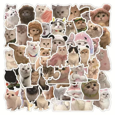 10/30/60 stücke kawaii Katzen Aufkleber Spielzeug niedlichen Kätzchen Cartoon Aufkleber für Kinder Image