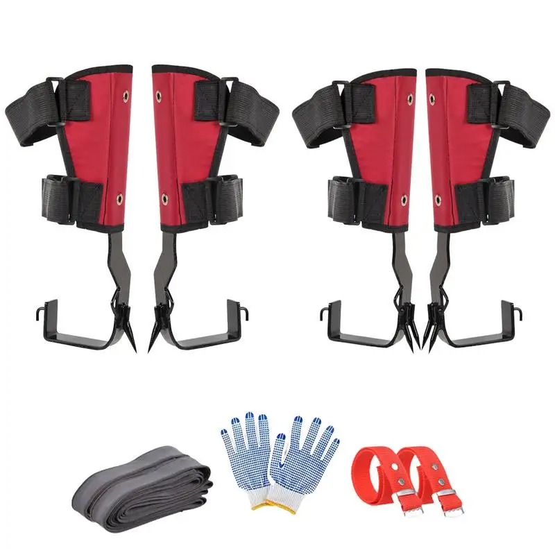 Baum-Kletterausrüstungsset, Baum-Kletterausrüstung mit Gürtel, Baum-Kletterspikes, verstellbare Kletterspikes für die Jagd, Obstpflücken Image