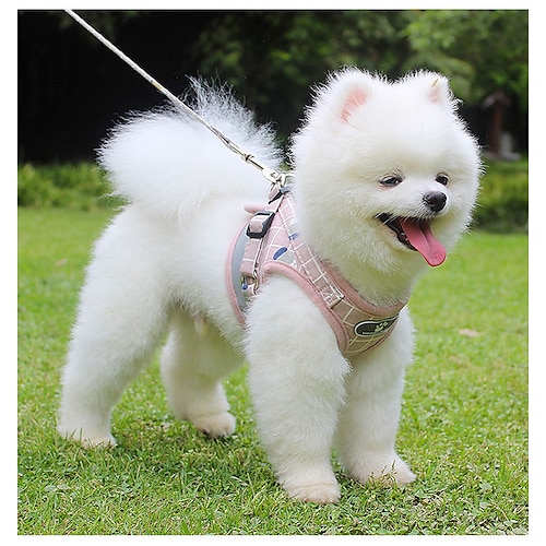 Plaid Katzengeschirr und Blei Set Fluchtschutz reflektierende Soft Mesh Brustgeschirr für Kätzchen kleine Hunde Welpe kein Zug leicht auf Schritt in Weste Geschirr für Chihuahua Walking Training Image