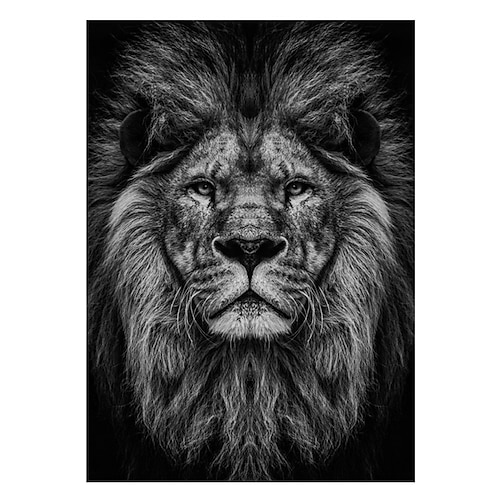 Wandkunst Leinwanddrucke Tiere Wohnkultur Dekor gerollte Leinwand kein Rahmen ungerahmt ungedehnt Image