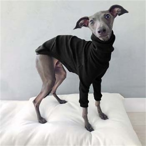 Hund Katze Hemd / T-Shirt Mode Niedlich Atmungsaktiv Weich Waschbar Bequem Outdoor Alltagstauglich Hundebekleidung for Bichon Frise Zwergspitz Baby Haustier Papillon Klein Image