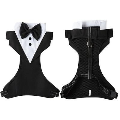 Hunde Katzen Anzug Modisch Kuschelig Winter Weich Waschbar Komfortabel Hochzeit Outdoor Party Hochzeitsfeier Hundebekleidung for Bichon Frise Pudel Spitz kleines Haustier Schmetterling