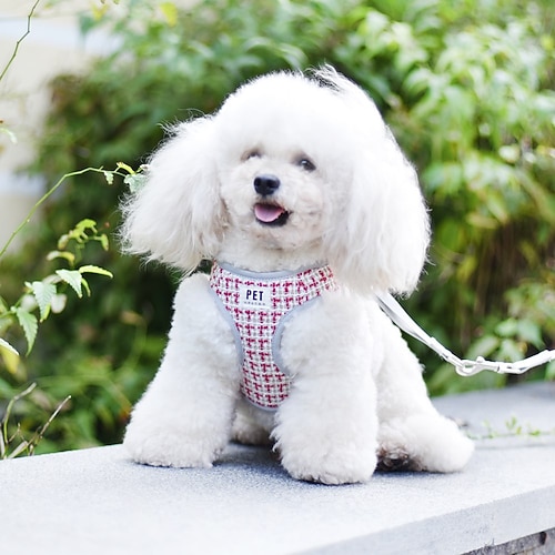 Hunde Katzen Geschirre Trainingsleine Einstellbar Tragbar Langlebig Outdoor Gehen Image