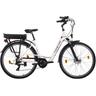 "E-Bike HOLLANDIA ""Zagon"" E-Bikes Gr. 48 cm, 28 Zoll (71,12 cm), weiß E-Bikes"