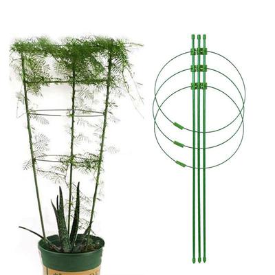 Plant Climbing Vine Flower Stand Glass Fiber Tube Iron Ring Flower Pillar Rose Flower Stand