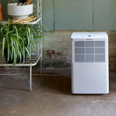 Hisense 25-pint Dehumidifier