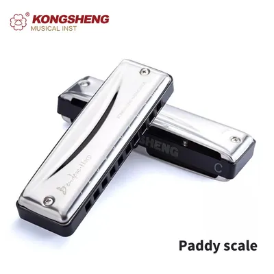 KONG SHENG Blues Harmonica key of Paddy scale of D A E F G Bb Eb 10 Holes 20 Tones Harmonica