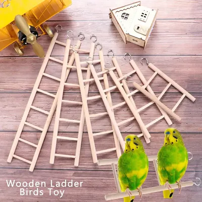 Bird+Supplies