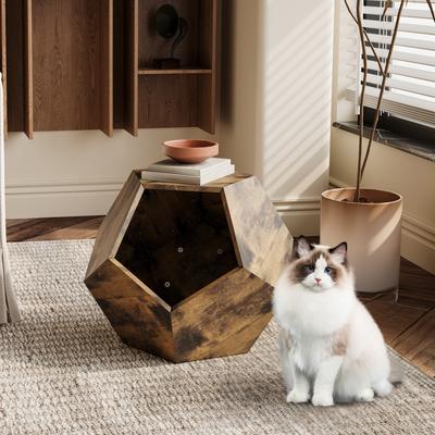 Multifunction 25.98" Modern Pentagon Cat Kennel Side Table