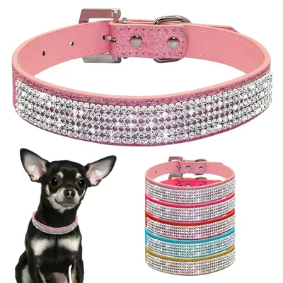 More+Pet+Supplies