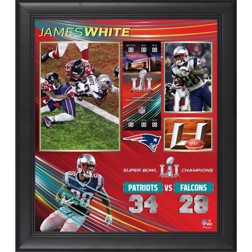 James White New England Patriots Gerahmte 15