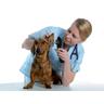 Videotoscopio md scope veterinaria - con 3 sonde