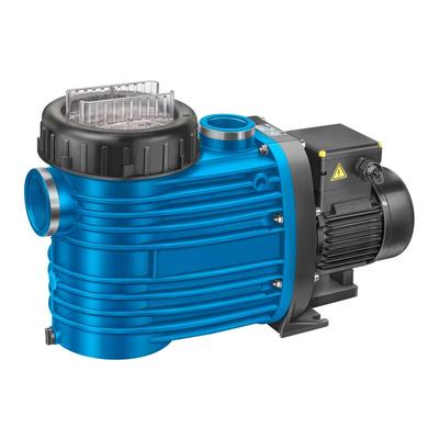 Badu Magna 8 230 Volt Poolpumpe - Speck Image