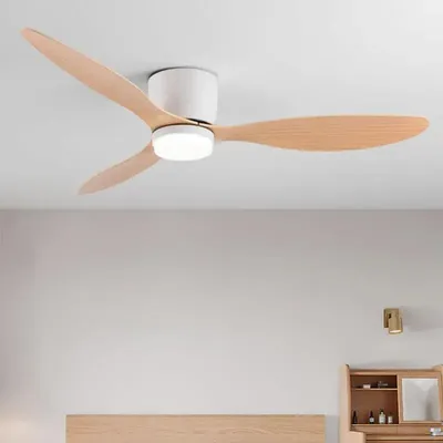 Ceiling+Fans