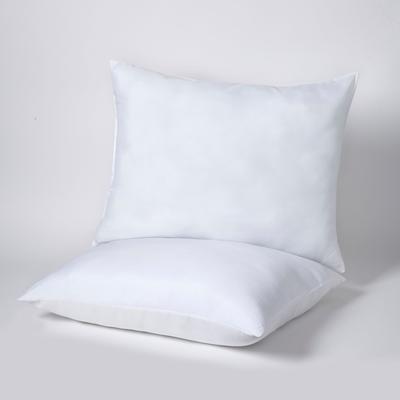 BH Studio Twin Pillow Pack by BrylaneHome in Soft (Size PKING)