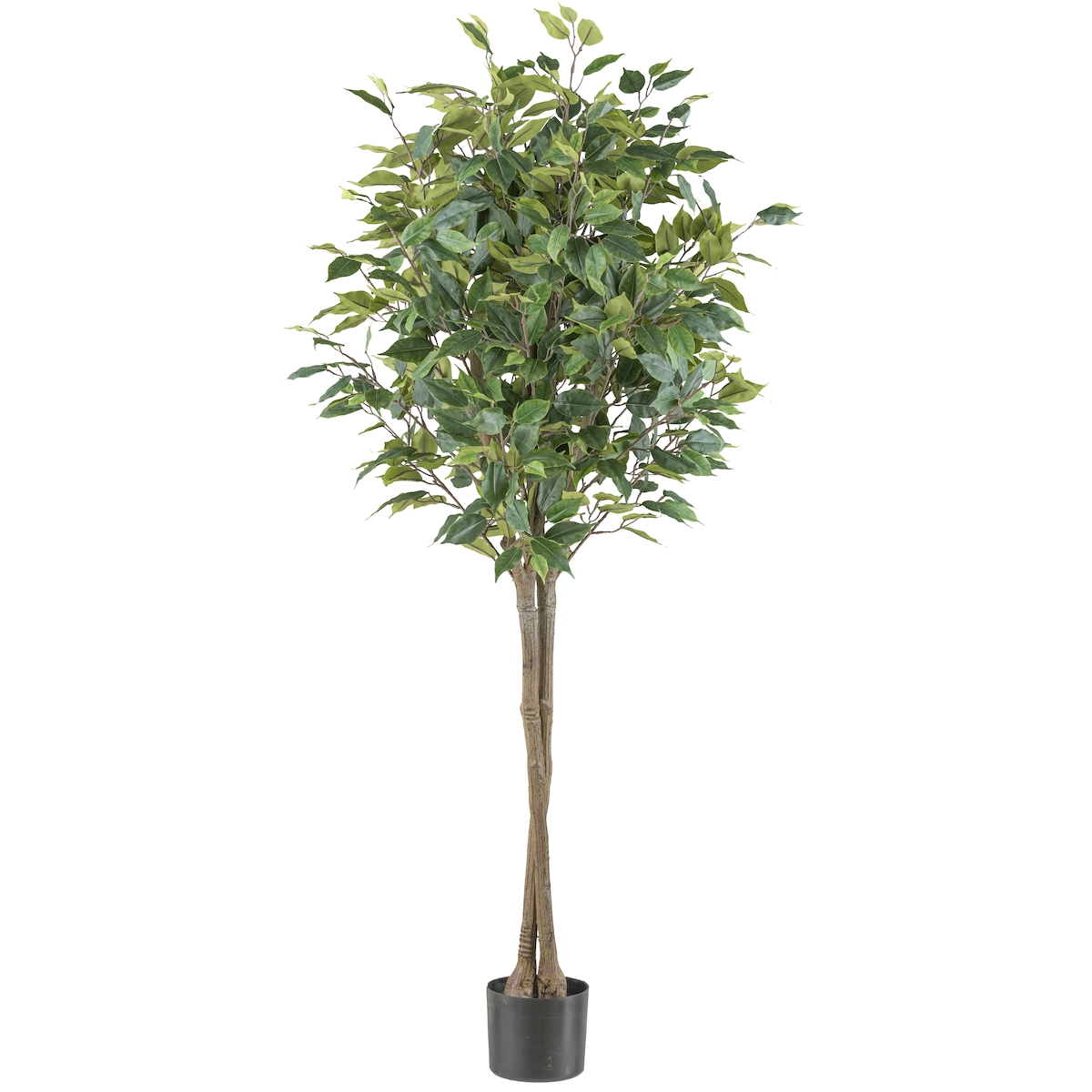 CREATIV green künstliche Pflanze Ficus benjamina 125cm, UV-beständig / schwer entflammbar Image