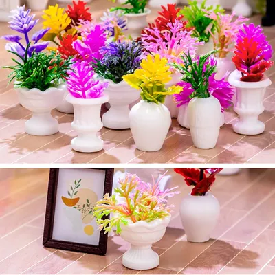 Flowers+Plants