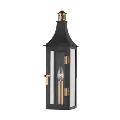 Corinne Indoor/Outdoor Wall Sconce - 30