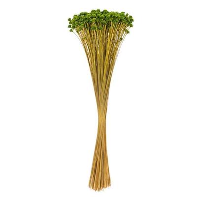 Vickerman 759165 - 20