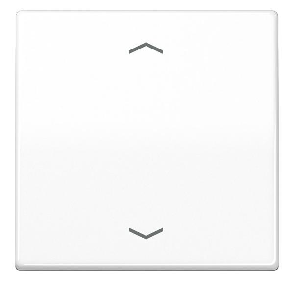 Jung Wippe AS 101 P WW AS101PWW Image