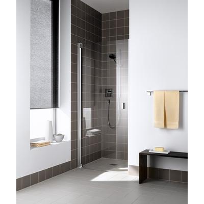 Kermi Pendeltür Raya 1TR 0750x2000, silber mattglanz, ESG klar, RA1TR075201AK RA1TR075201AK Image