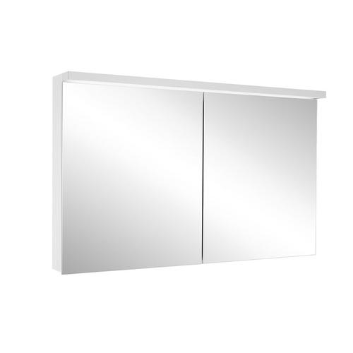 Schneider Spiegelschrank ADVANCED Line Ultimate TW 100/2/TW, silbereloxiert, 188.100.02.50 188.100.02.50