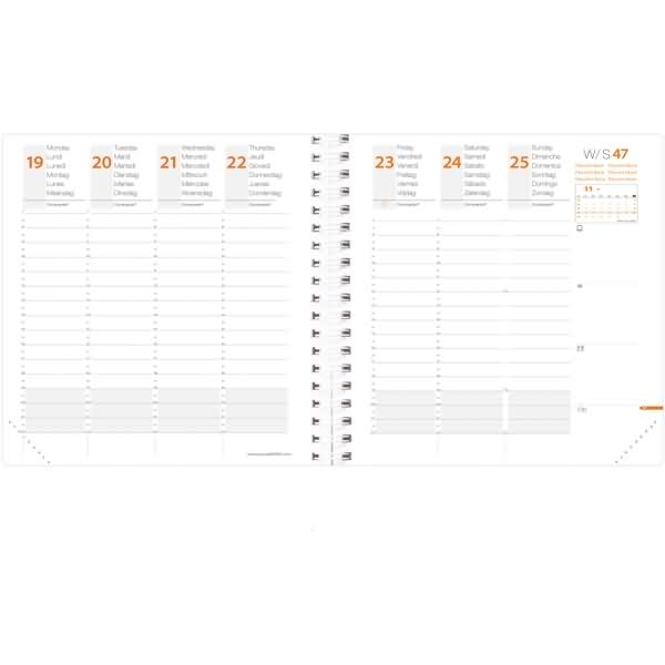 QUO VADIS Ersatzeinlage Time & Life Medium 16x16cm 2024 Image