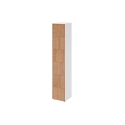 Hammerbacher-Schliessfachschrank 6OH Weiss/Nuss,6xDS-V264L6/W/N/DS Image