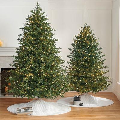 7.5 ft. Christmas Tree - Classic Fraser Fir Full Profile Quick-Light Tree - Frontgate - Artificial Christmas Tree