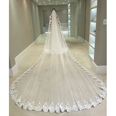 White 4 Meters Long Full Edge Lace Wedding Veil One Layer Tulle Bridal Veil with Comb Wedding