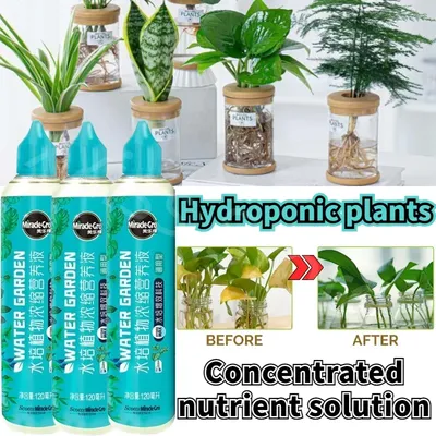 120ml Hydroponic Plant Nutrient Solution Without Dilution Rich Bamboo Green Dill Copper Money Grass