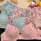 Sanrio Hello Kitty intimo donna reggiseno Sexy slip Set Cartoon No Wire Push Up intimo femminile